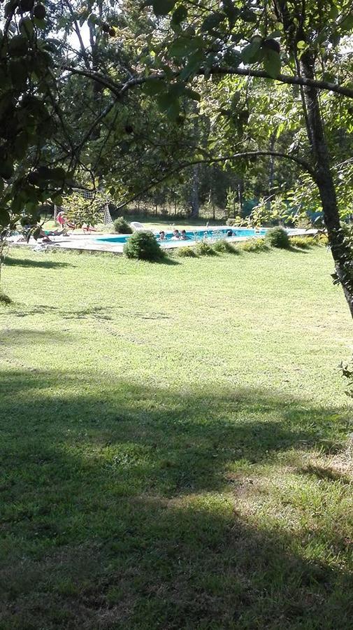 Hosteria Y Camping Del Bosque Pucón Екстериор снимка