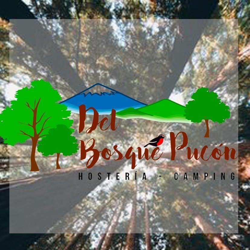 Hosteria Y Camping Del Bosque Pucón Екстериор снимка