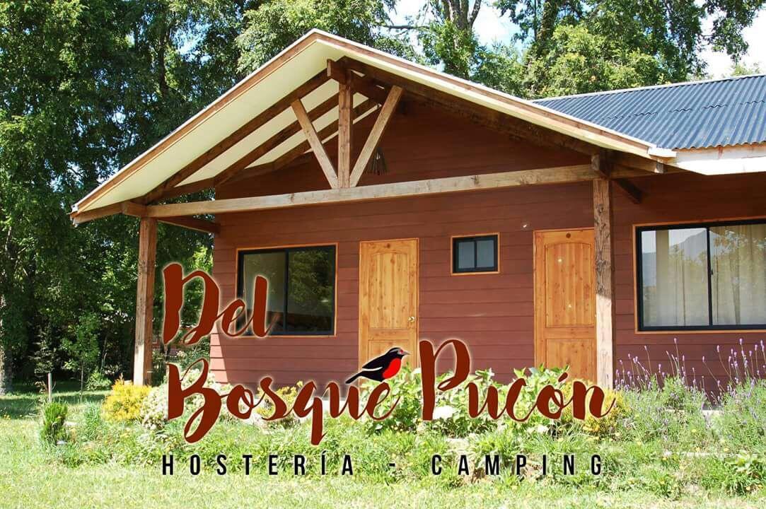 Hosteria Y Camping Del Bosque Pucón Екстериор снимка
