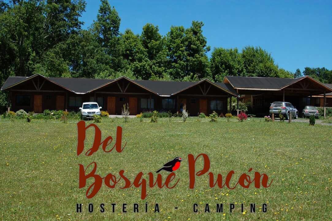 Hosteria Y Camping Del Bosque Pucón Екстериор снимка