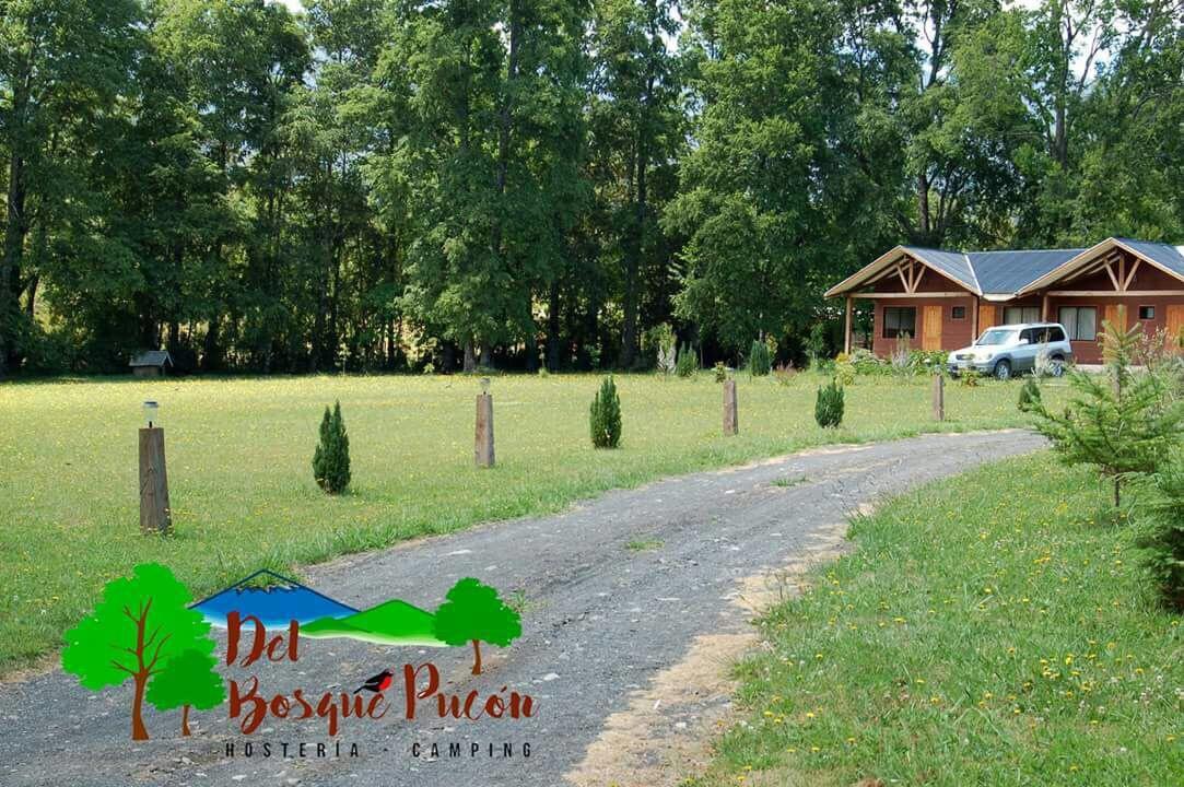 Hosteria Y Camping Del Bosque Pucón Екстериор снимка