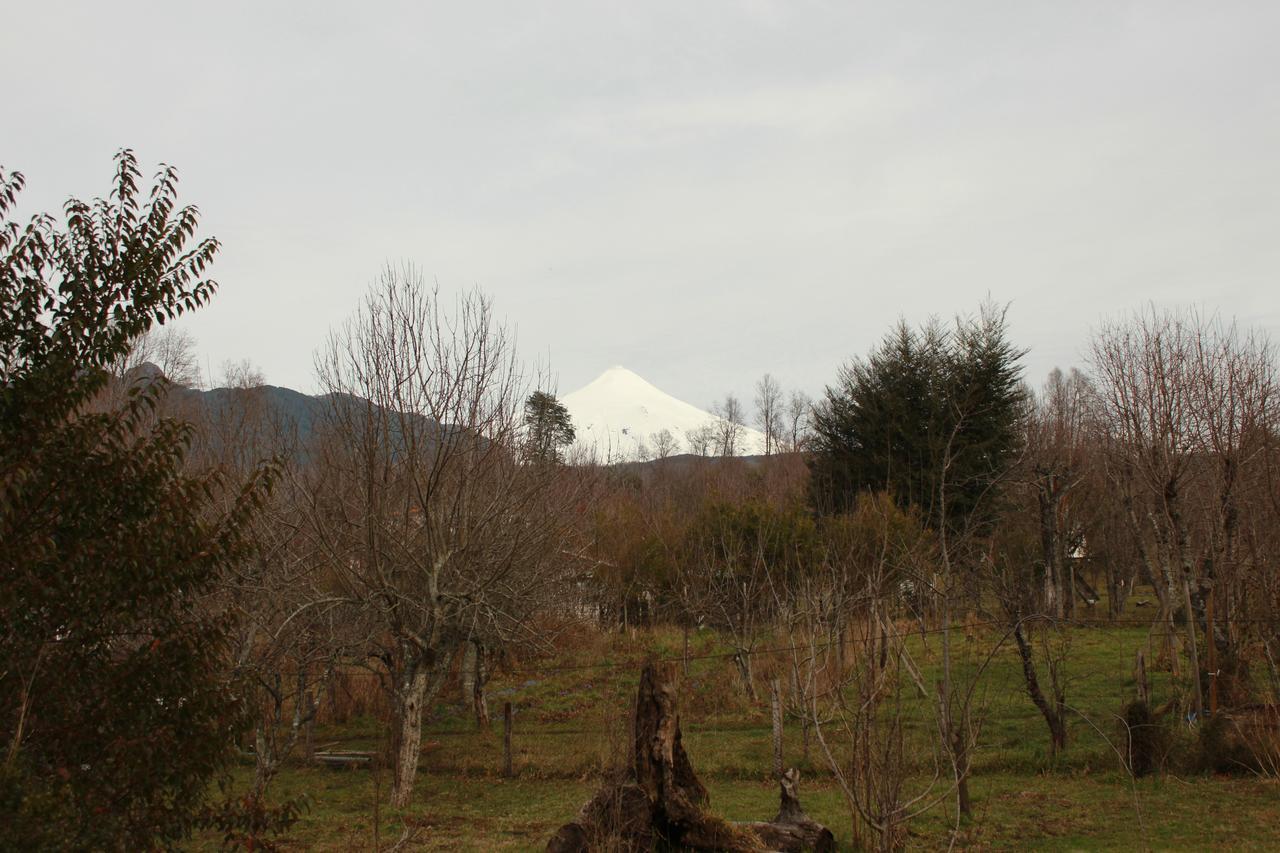 Hosteria Y Camping Del Bosque Pucón Екстериор снимка